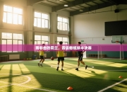 南非击败荷兰，晋级橄榄球半决赛