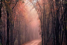 葡萄牙疲劳作战，逼平荷兰提前出局