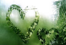 强强对抗！高水平篮球比赛花絮