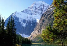 葡萄牙疲劳作战，逼平荷兰提前出局