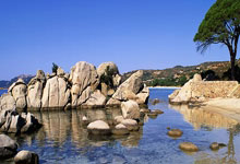 葡萄牙疲劳作战，逼平荷兰提前出局