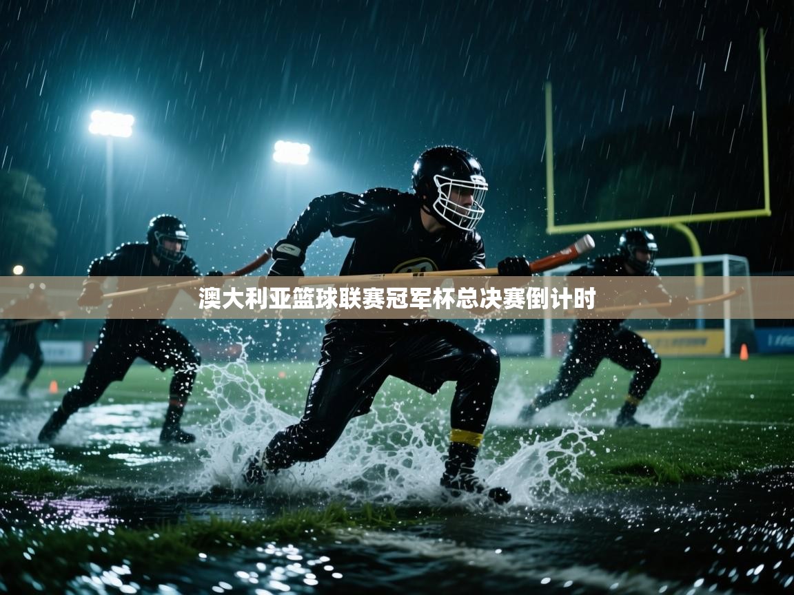 澳大利亚篮球联赛冠军杯总决赛倒计时  第2张